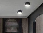 Светильник накладной TN71003 BK черный GX53 max 12W D80*50