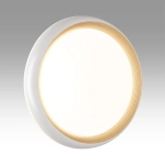 7650/EL PALE SN 141 Светильник пластик/золотой LED 70Вт 3000-6000К D480 IP43 пульт ДУ TOFIQ WHITE