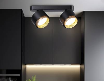 Светильник накладной TN71288/2 BK/GD черный/золото GX53/2 max 12W 270*95*137