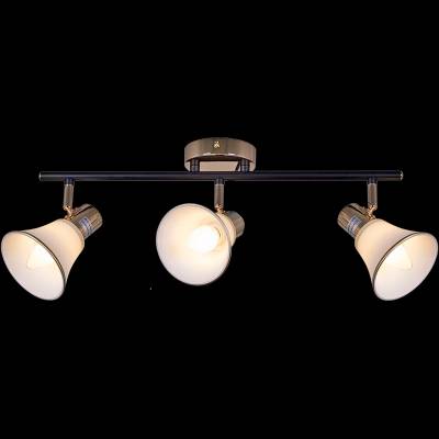 05901-0.8-03 BK+FGD светильник потолочный