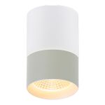 30410-9.5-001RT LED10W WT светильник точ. накладной