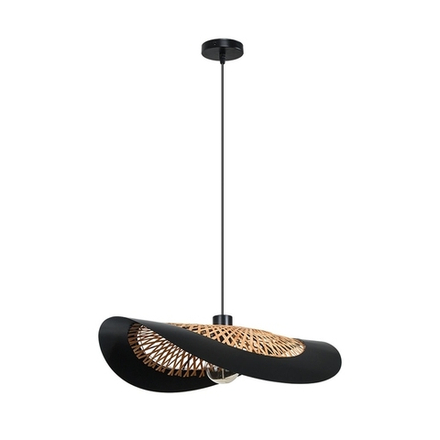 Подвесной светильник Arte Lamp WOODSTOCK A7059SP-1BK, 1хE27