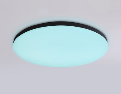 Потолочный светодиодный светильник с Wi-Fi Яндекс Алисой/Tuya/Smart Home/Alexa FZ2004 BK черный IP54 20W 3000K-6500K+RGB D300*55 (ПДУ ИК)