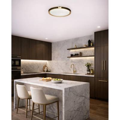 7667/EL COLOR SN 132 Светильник пластик/черн/золот LED 70Вт 3000-6000К D505 IP43 пульт ДУ FAVEMO BLACK