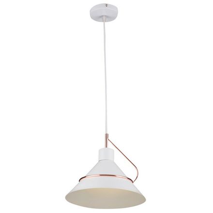 Подвесной светильник Amis FR5025PL-01W, E27х1. TM Maytoni
