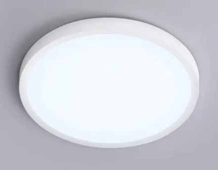 Светильник светодиодный ультратонкий FZ1951 WH белый IP54 20W 5000K D270*15 (Без ПДУ)