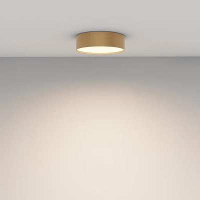 Потолочный светильник Зон / Zon 24 Вт 3000 К 120°, C032CL-24W3K-RD-MG. TM Maytoni
