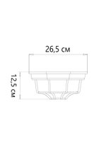 Уличный потолочный светильник Arte Lamp PEGASUS A3100PL-1AC, 1хE27