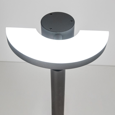 Citilux CLU03B1 LED Уличный парковый светильник поворотный Графит