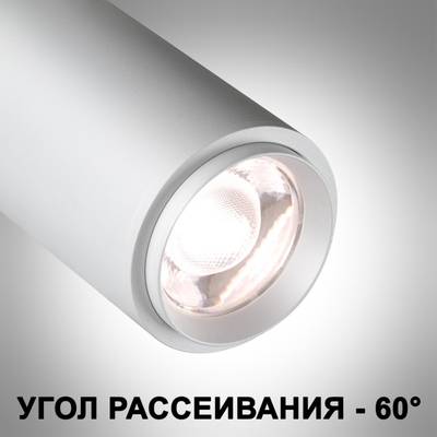 359221 SPOT NT23 267 белый Светильник встраиваемый с перекл. цв. температуры, мощности IP20 LED 3000К\4000К\6000К 5W/9W/13W 220V NAIL
