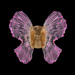Бра Borboleta Purple FL1103-1W3, LED