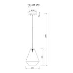 Подвесной светильник Enigma FL1115-1P1, G9х1