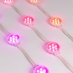 Модуль управляемый SPI-F7-D50 24V RGB-RAM-Auto (1.25W, IP68, 120 deg) (Arlight, Пластик, 3 года)