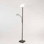 Citilux Харди CL802015 LED Торшер с диммером Кофейный