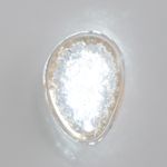 Бра Crystal Lux FELICIDAD AP9W LED 0590/401