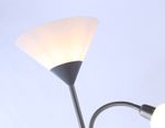 Светильник напольный с выключателем на проводе TR97626 SL серебро E27+E14 max 40W D245/100*1770