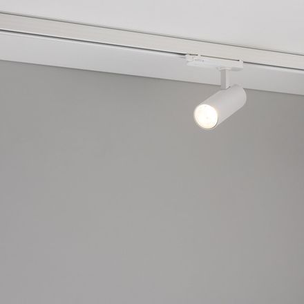 Светильник LGD-GERA-4TR-R55-10W Day4000 (WH, 55 deg, 230V) (Arlight, IP20 Металл, 5 лет)