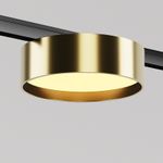 Трековый светильник Zon Levity 2700К 12Вт 100°, TR189-1-12W2.7K-BBS. TM Maytoni