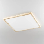 Citilux Бейсик CL738K502V LED Светильник накладной Клён