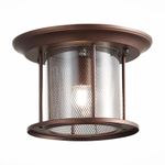 SL080.402.01 Светильник уличный потолочный ST-Luce Темный кофе/Прозрачный, Темный кофе E27 1*60W
