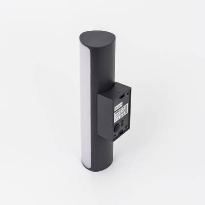 Citilux CLU0007 LED Уличный светильник Графит
