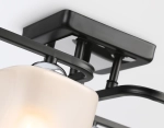 Светильник потолочный TR303224/6 BK/CH/FR черный/хром/белый матовый E27*6 max 60W 615*390*220