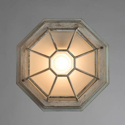 Уличный потолочный светильник Arte Lamp PEGASUS A3121PF-1WG, 1хE27
