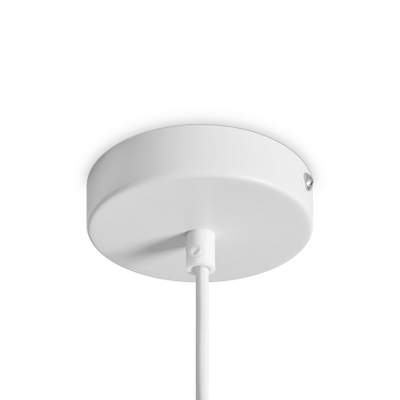 Подвесной светильник FR5530PL-L10W, FR5530PL-L10W. TM Maytoni