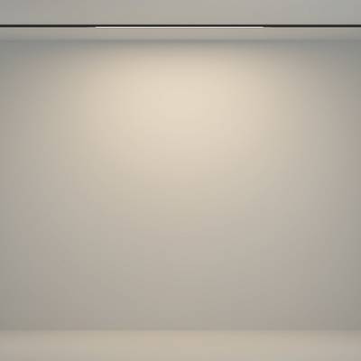 Трековый светильник Flex Basity 12Вт 90°, TR180-1-12WTW-B. TM Maytoni