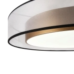 Потолочный светильник Zoticus FR6005CL-L48G, LED. TM Maytoni
