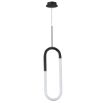 Подвесной светильник Arte lamp LUMINO A2233SP-20BK, 1хLED