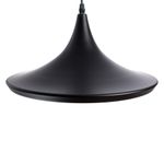 Подвесной светильник Arte Lamp CAPPELLO A3406SP-1BK, 1хE27