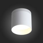 ST102.502.12 Светильник потолочный Белый LED 1*12W 3000K 936Lm Ra&gt;80 120° IP20 D100xH90 170-240V