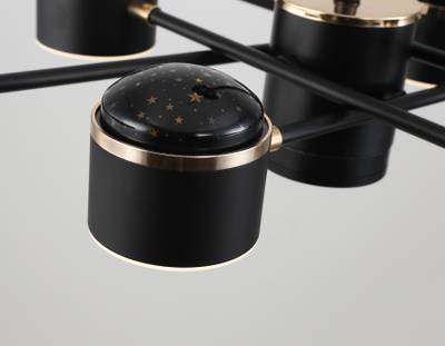 Светильник светодиодный подвесной FL51629/9+4 BK/FGD черный/золото 132W 3000-6000K D850*370 (без ПДУ)