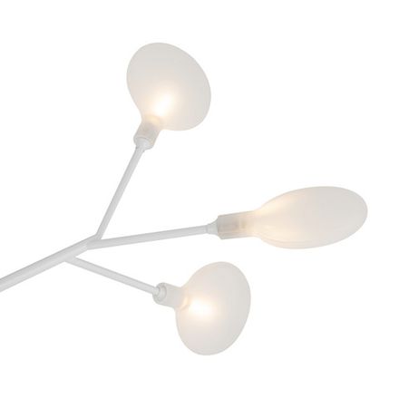 Потолочный светильник Florencia FR5049CL-36W1, G4х36. TM Maytoni