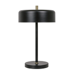 Декоративная настольная лампа Arte Lamp SKAT A7052LT-2BK, 2хE27