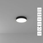Потолочный светильник Arte Lamp FADO A7335PL-1BK, 1хLED