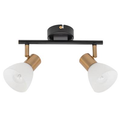 Спот Arte Lamp FALENA A3117PL-2BK, 2хE14