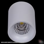 81117-9.5-001RT LED10W WT светильник точ. накладной