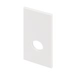 Заглушка MAG-ORIENT-CAP-POWER-2652 (WH) (Arlight, IP20 Пластик, 3 года)