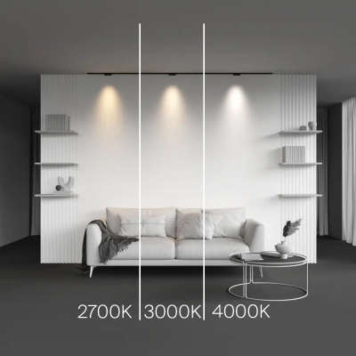 Трековый светильник Точки / Points Levity 2700К 5Вт 30°, TR193-1-5W2.7K-M-B. TM Maytoni