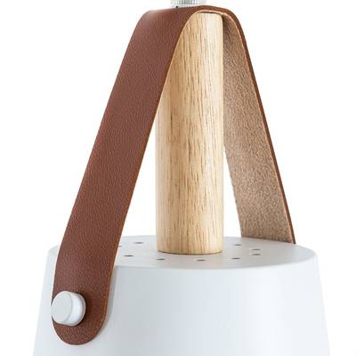 Подвесной светильник Arte Lamp THOMAS A7032SP-1WH, 1хE27