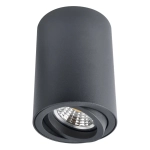 Точечный накладной светильник Arte Lamp SENTRY A1560PL-1BK, 1хGU10