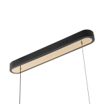 Citilux FANNY CL213121 LED Подвесной светильник с пультом