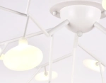 Потолочная люстра TR3011/27 WH/FR белый/матовый G4*27 max 20W D730*430 (лампы LED G4 1.5W 4200K в комплекте)