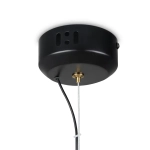 Подвесной светильник Enchantment FR5384PL-L13GN, LED. TM Maytoni
