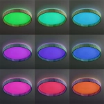 Citilux ENZO CL753352G LED RGB Светильник с пультом Клён
