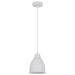 Подвесной светильник Arte Lamp BRACCIO A2054SP-1WH, 1хE27