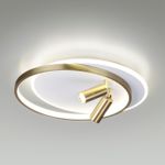 5603/63CL LEDIO LN23 244 белый, золотой Люстра потолочная LED диммир. с ДУ 63W 3000-6000К 5025Лм 220V NAOKO