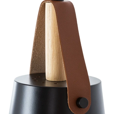 Подвесной светильник Arte Lamp THOMAS A7032SP-1BK, 1хE27